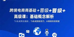 (15496期)跨境电商基础+晋级+高级课:基础概念解析,Tk私域涨粉技巧,AI客服系统搭建-泰戈创艺资源库