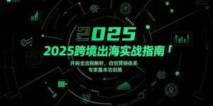 (15503期)2025跨境出海实战指南,并购全流程解析,自创营销体系,专家基本功训练-泰戈创艺资源库