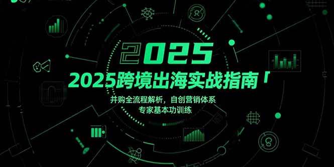 （15503期）2025跨境出海实战指南，并购全流程解析，自创营销体系，专家基本功训练-泰戈创艺资源库