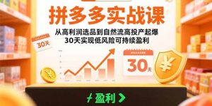 (15586期)拼多多实战课:从高利润选品到自然流高投产起爆 30天实现低风险可持续盈利-泰戈创艺资源库