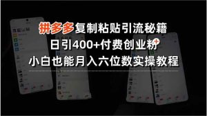 (15613期)拼多多复制粘贴引流秘籍,日引400+付费创业粉,小白也能月入六位数实操…-泰戈创艺资源库