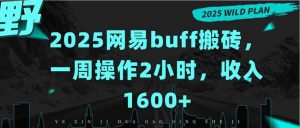 （15666期）2025网易buff搬砖，一周操作2小时，收入1600+-泰戈创艺资源库
