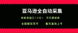 （15704期）亚马逊全自动采集，单机单窗口一天10+，可无限矩阵去做-泰戈创艺资源库