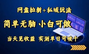 （15744期）网盘拉新+私域玩法，简单无脑，小白可做，当天见收益，实测单日可破千-泰戈创艺资源库