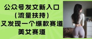 (15781期)公众号发文新入口(流量扶持),又发现一个爆款赛道:美女赛道-泰戈创艺资源库