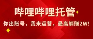 (15817期)【哔哩哔哩托管】AI短视频带货,你出账号,我来运营,最高躺赚2W!-泰戈创艺资源库