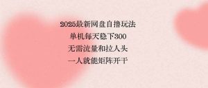 （15831期）2025最新网盘自撸玩法，单机每天稳下3张，无需流量和拉人头，一个人就…-泰戈创艺资源库