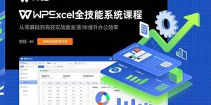 (15873期)WPS Excel全技能系统课程:从零基础到高阶实战全覆盖,全面提升办公效率-泰戈创艺资源库