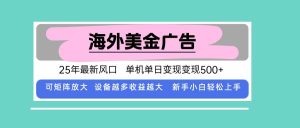 (15902期)最新海外广告美金,全自动挂机,单机单日500+,可矩阵放大,新手小白轻…-泰戈创艺资源库