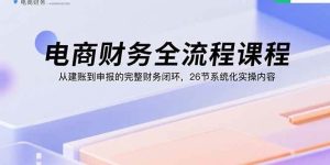 （15893期）电商财务全流程课程：从建账到申报的完整财务闭环，26节系统化实操内容-泰戈创艺资源库