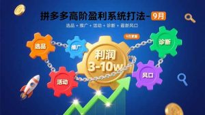 (15916期)拼多多高阶盈利系统打法-9月:选品+推广+活动+诊断+最新风口,月利润3-10w-泰戈创艺资源库