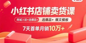 （15955期）小红书店铺卖货课：商城入驻+选爆品+爆文模板，7天首单月销10万+-泰戈创艺资源库