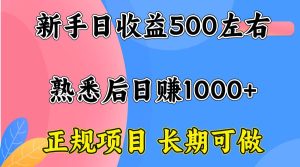 (15978期)一台电脑,前期日收益300-500,熟练后日入1000左右-泰戈创艺资源库