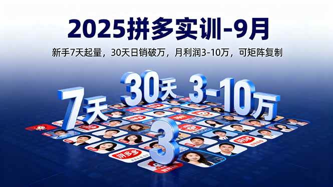 （16008期）2025拼多多实训-9月：新手7天起量,30天日销破万,月利润3-10万,可矩阵复制-泰戈创艺资源库