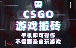 (16090期)CSGO游戏挂机捡漏,单日扫货500+,年底小高峰上车可吃肉,手机即可操作…-泰戈创艺资源库