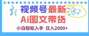 (16092期)视频号最新AI图文带货,每天几分钟,小白轻松入手,日入2000+-泰戈创艺资源库