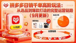 (16100期)拼多多日销千单高阶玩法:从选品到爆款打造的完整运营链路(9月更新)-泰戈创艺资源库