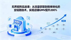 (16104期)无界矩阵实战课:从流量获取到爆单转化的全链路技术,实现店铺GMV提升200%-泰戈创艺资源库