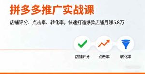 (16115期)拼多多推广实战课,店铺评分、点击率、转化率,快速打造爆款店铺月赚5.8万-泰戈创艺资源库