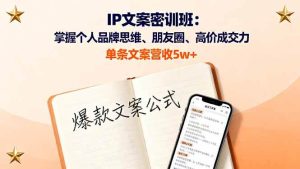 (16167期)IP文案密训班:掌握个人品牌思维、朋友圈、高价成交力,单条文案营收5w+-泰戈创艺资源库