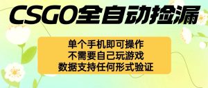 (16207期)自动挂机捡漏,不用自己挂机不用玩游戏,一个手机即可操作。新手小白轻…-泰戈创艺资源库
