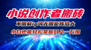 (16209期)小说创作者搬砖玩法,不限制IP简单无脑 可矩阵无限放大小白也能实现轻…-泰戈创艺资源库