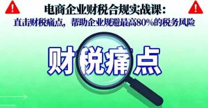（16232期）电商企业财税合规实战课，直击财税痛点，帮助企业规避最高80%的税务风险-泰戈创艺资源库