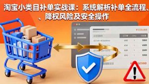 (16239期)淘宝小类目补单实战课:系统解析补单全流程、降权风险及安全操作-泰戈创艺资源库