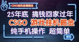 (16343期)25年底搞钱回家过年,CSGO游戏挂机掘金,纯手机操作超简单-泰戈创艺资源库