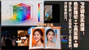 (16336期)PR调色实战课:色彩理论+工具实操+婚礼医美/30+实操案例,月接单超2万-泰戈创艺资源库