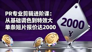 (16381期)PR专业剪辑进阶课:从基础调色到特效大片的进阶技能,单条短片报价达2000-泰戈创艺资源库