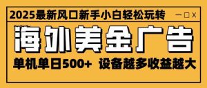 （16401期）2025最新风口 海外美金广告 单机单日500+ 可无限放大 设备越多收益越大…-泰戈创艺资源库