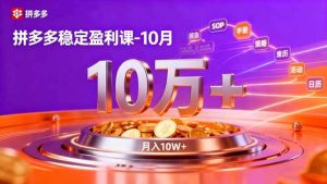 (16413期)拼多多稳定盈利课-10月,强付费SOP+微付费高投产+活动矩阵,单店月入10万+-泰戈创艺资源库