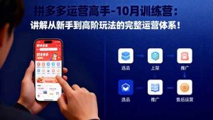 (16448期)拼多多运营高手-10月训练营:讲解从新手到高阶玩法的完整运营体系!-泰戈创艺资源库