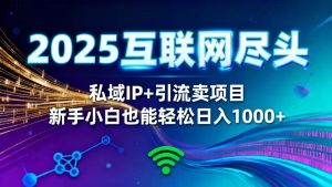 (16485期)2025网创尽头王炸项目!私域 IP + 精准引流,新手小白在家躺赚日入 1000+-泰戈创艺资源库