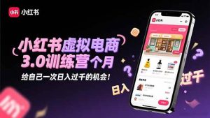 (16512期)小红书虚拟电商3.0训练营:2025最后1个月,给自己一次日入过千的机会!-泰戈创艺资源库