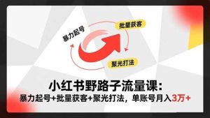 (16513期)小红书野路子流量课:暴力起号+批量获客+聚光打法,单账号月入3万+-泰戈创艺资源库
