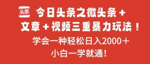 (16556期)今日头条之微头条+文章+视频三重暴力玩法,学会一种轻松日入2000+,…-泰戈创艺资源库