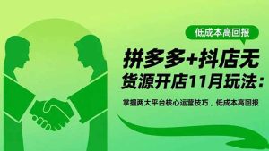 （16546期）拼多多+抖店无货源开店11月玩法：掌握两大平台核心运营技巧，低成本高回报-泰戈创艺资源库