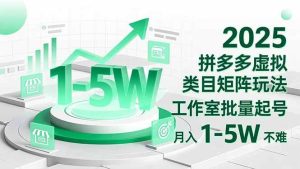（16548期）2025 拼多多虚拟类目矩阵玩法，工作室批量起号，月入 1-5W 不难-泰戈创艺资源库