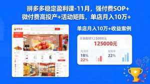 (16557期)拼多多稳定盈利课-11月,强付费SOP+微付费高投产+活动矩阵,单店月入10w+-泰戈创艺资源库