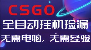 (16619期)【副业好项目】全球火爆游戏CSGO自动捡漏,新手小白日入500+-泰戈创艺资源库