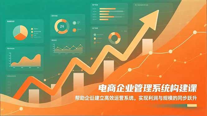 （16643期）电商企业管理系统构建课：帮助企业建立高效运营系统，实现利润与规模的同步跃升-泰戈创艺资源库