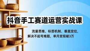 (16667期)抖音手工赛道运营实战课,流量思维、标签机制、垂直定位,解决不起号难题,单月变现破3万-泰戈创艺资源库