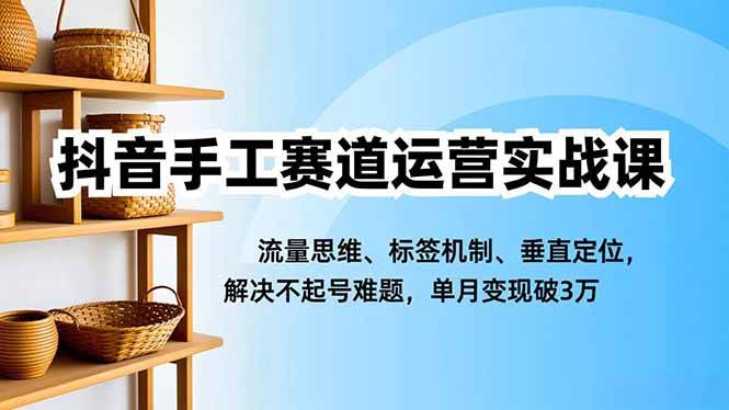 （16667期）抖音手工赛道运营实战课，流量思维、标签机制、垂直定位，解决不起号难题，单月变现破3万-泰戈创艺资源库