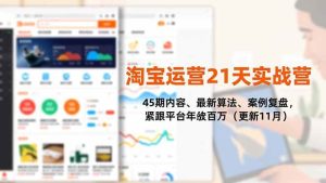 (16701期)淘宝运营21天实战营,45期内容、最新算法、案例复盘,紧跟平台年入百万(更新11月)-泰戈创艺资源库