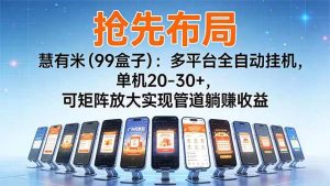 (16757期)【抢先布局】慧有米(99盒子):多平台全自动挂机,单机20-30+,可矩阵放大实现管道躺赚收益-泰戈创艺资源库