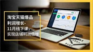 (16824期)淘宝天猫爆品利润增长-11月线下课,免费流量、付费放大、费比管控,实现店铺利润倍增-泰戈创艺资源库