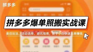 (16838期)拼多多爆单照搬实战课,类目玩法、活动选择、避坑指南,新手小白快速出单赚钱-泰戈创艺资源库