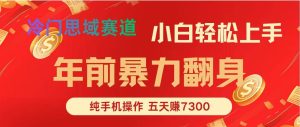 （16881期）年前爆火项目，每单可以赚个300-2000，5天赚了7300-泰戈创艺资源库